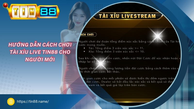 Hướng dẫn cách chơi Tài Xỉu Live TIN88 cho người mới huong dan cach choi tai xiu live tin88 cho nguoi moi
