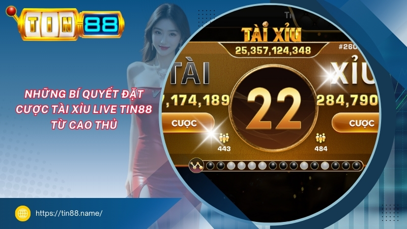 Những bí quyết đặt cược Tài Xỉu Live TIN88 từ cao thủ nhung bi quyet dat cuoc tai xiu live tin88 tu cao thu
