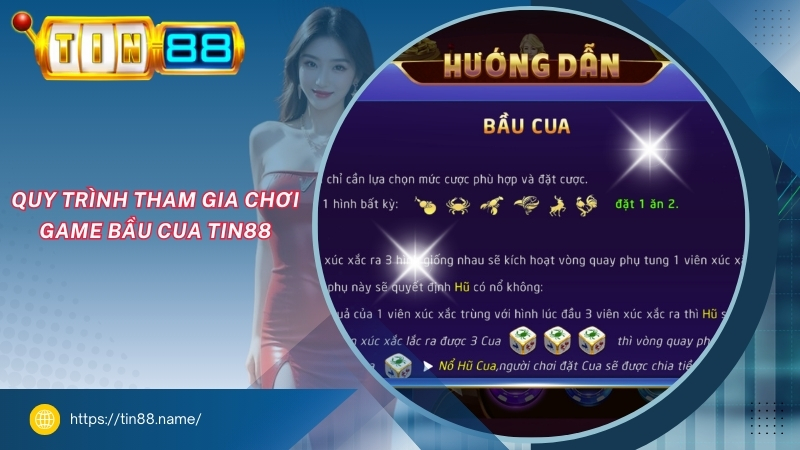 Quy trình tham gia chơi game bầu cua TIN88 Quy trình tham gia chơi game bầu cua TIN88